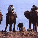 Wilderness Experience
