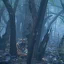 Wilderness Experience