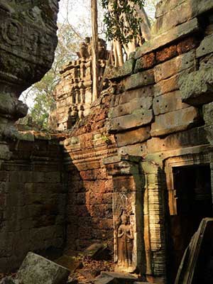 Wilderness Experience Tour Operator