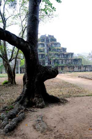 Wilderness Experience Tour Operator