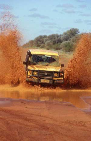 Wilderness Experience Tour Operator