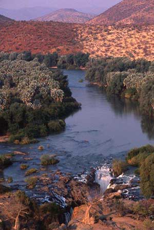 Wilderness Experience Tour Operator