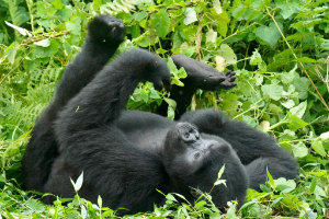 Wilderness Experience Tour Operator