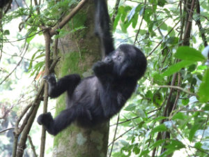 Wilderness Experience Tour Operator