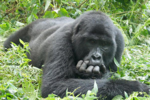 Wilderness Experience Tour Operator