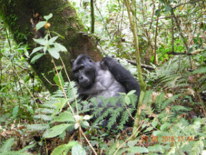 Wilderness Experience Tour Operator