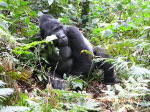 Wilderness Experience Tour Operator