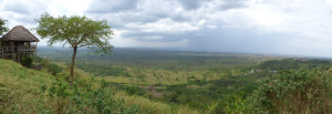 Wilderness Experience Tour Operator