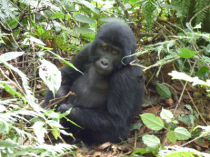 Wilderness Experience Tour Operator