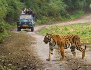 Wilderness Experience Tour Operator