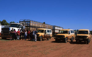 Wilderness Experience Tour Operator