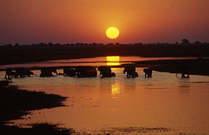 Wilderness Experience Tour Operator