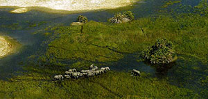 Wilderness Experience Tour Operator