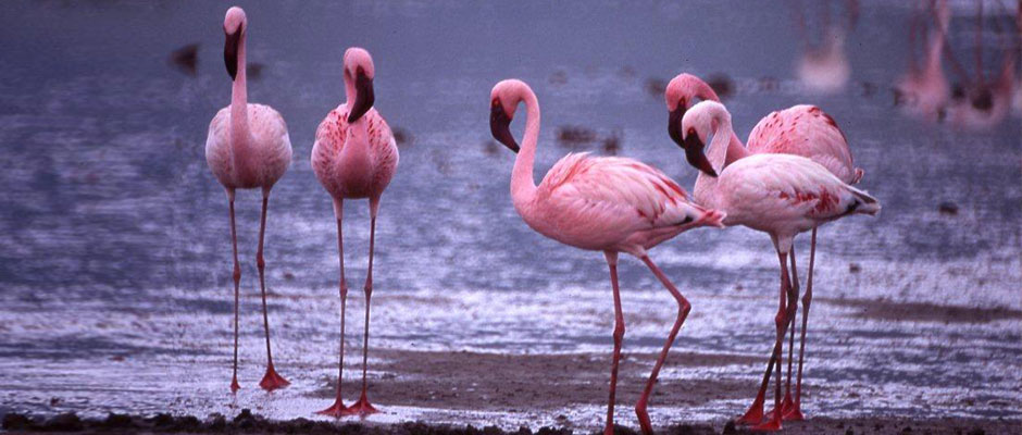 Wilderness Experience Tour Operator