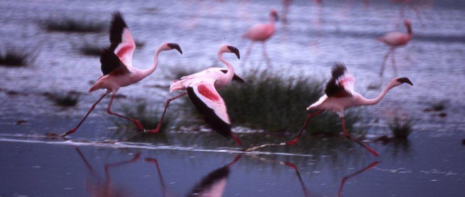 Wilderness Experience Tour Operator