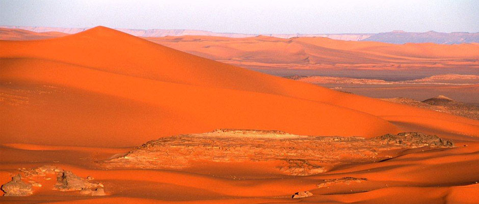 Wilderness Experience Tour Operator