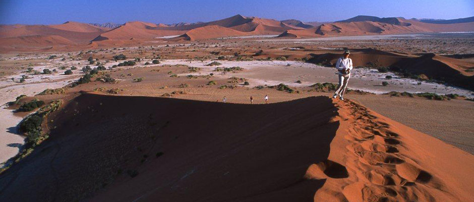 Wilderness Experience Tour Operator