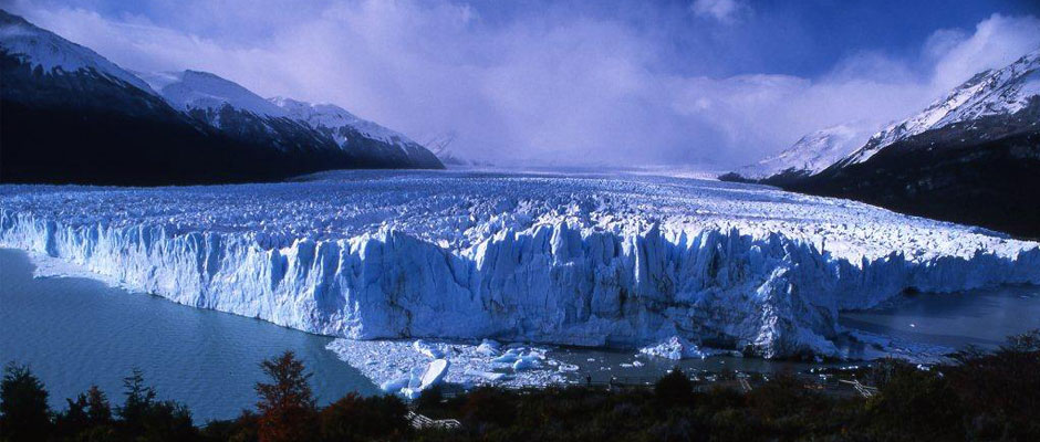 Wilderness Experience Tour Operator